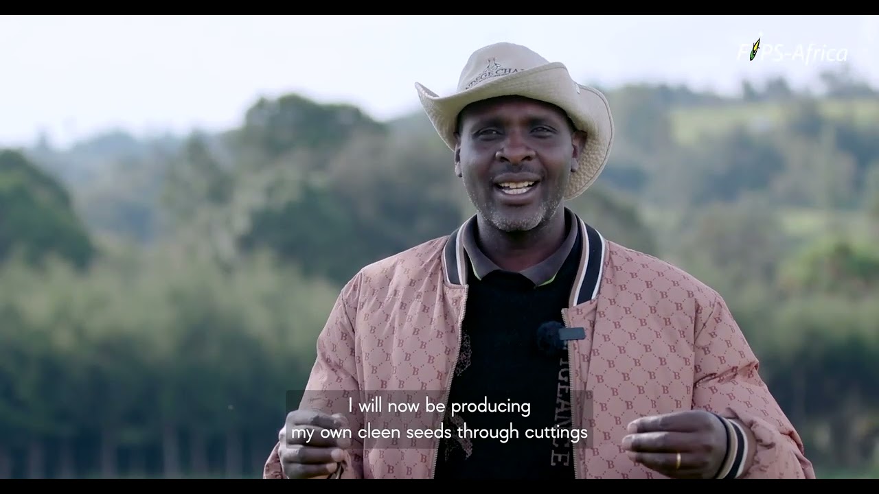 FIPS update: Nakuru Potato Revolution