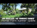 Jim Kovaleski, the 'Nomadic Farmer': Florida Farm Summer Update to $5.6K Gardening Other Yards