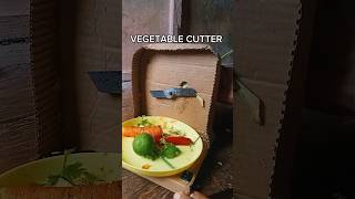 Vegetable Cutter 🥕🤑 #CutterMachine #VegetableCutter #DIYTools #DCMotor #Project #Experiment #Tech