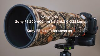 Sony 200-600mm Lens with Sony 1.4 Extender