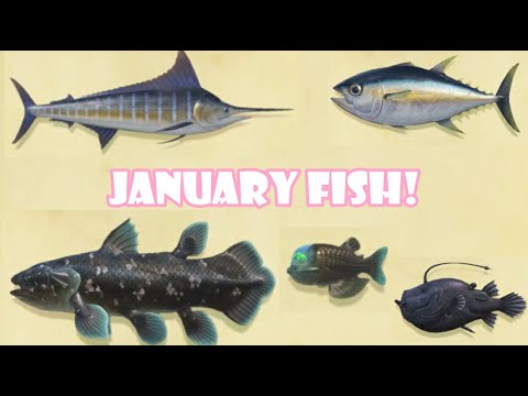 All The Fish You Can Catch In JANUARY | Animal Crossing New Horizons|Northern Hemisphere| KawaiiBeth