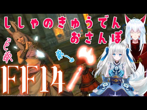 【 #FF14】姉弟コラボ！梅雨前にDD死者の宮殿見に行く【Vtuber狐狐音の前】