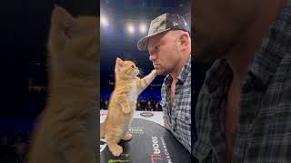 Power Kitten Slap 😺 create it with AI. Tutorial is inside our community