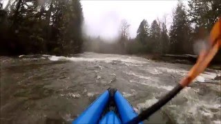 WKCC on the Calapooia River 17 January 2016