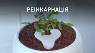 Реинкарнация