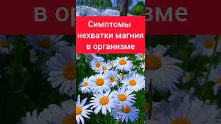 Нехватка магния в организме #storst #магний #сибирскоездоровье