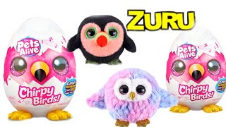 WOW! SUPER ZURU! EGG SURPRISE! PETS ALIVE! CHIRPY BIRDS! ASMR | UNBOXING
