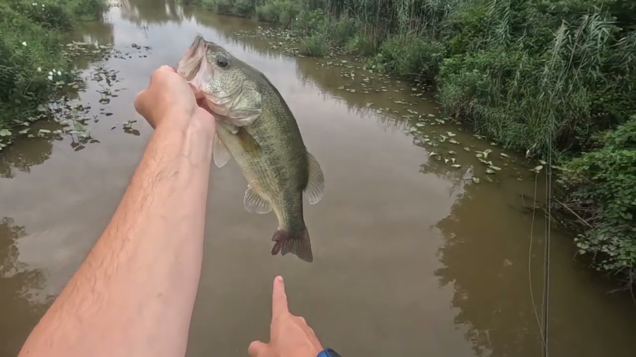 Side of the road slamfest! @6thsensefishing  #bass #fishing #topwater