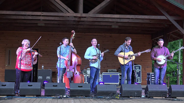 The Darrell Webb Band - Goodbye Old Pal