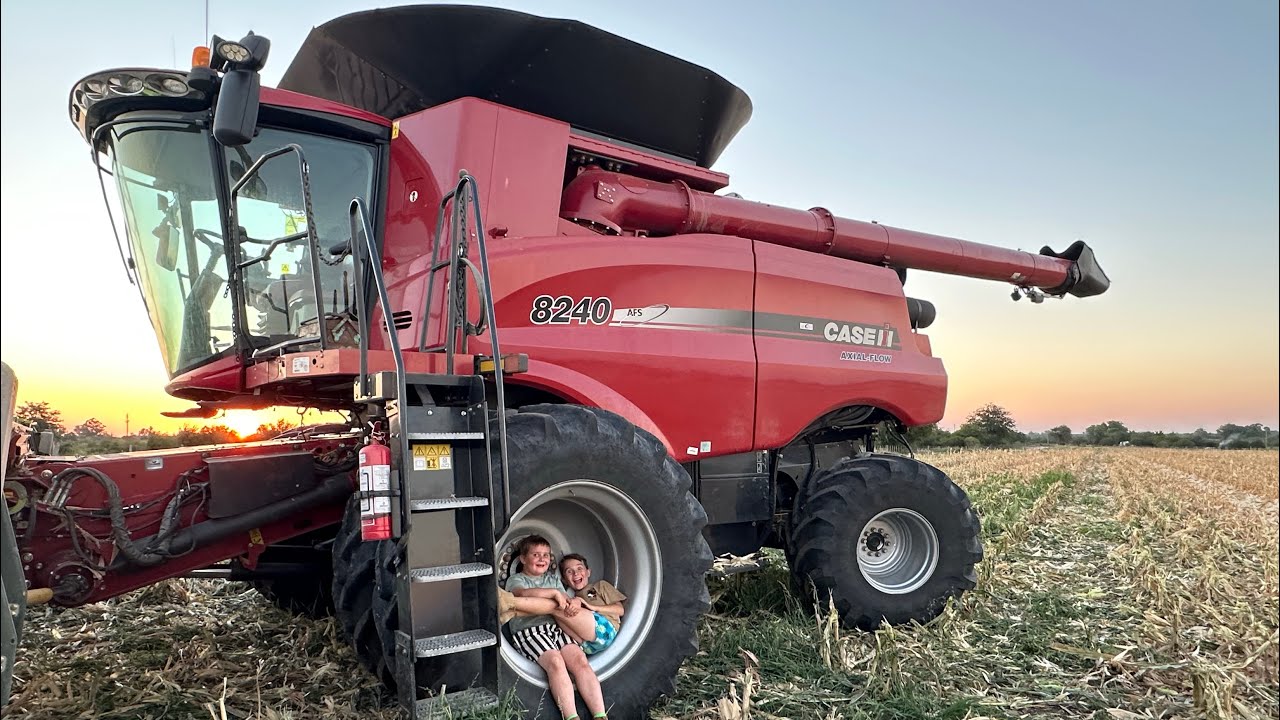 Maíz de primera! 🌽 