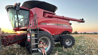 Maíz de primera! 🌽 