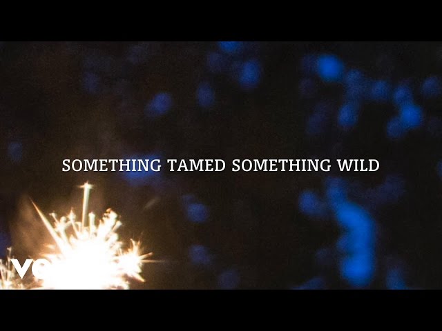 Mary Chapin Carpenter - Something Tamed, Something Wild