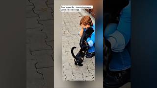 Anne kedi yavrusunu bir kadına bırakıp sessizce gitti.#kediler#annekedi #hayvansevgisi#keşfet#cat
