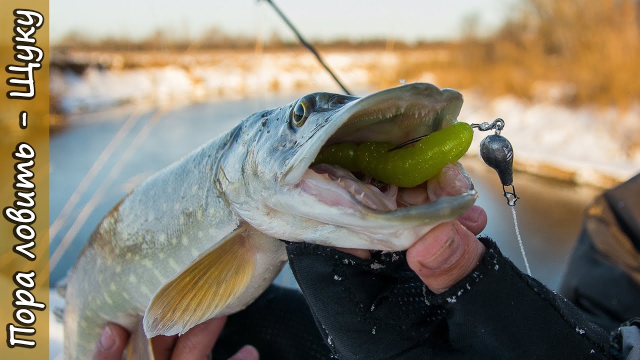 Ловля щуки под стаей малька. Зимний спиннинг на малой реке. [Пора ловить щуку на джиг]