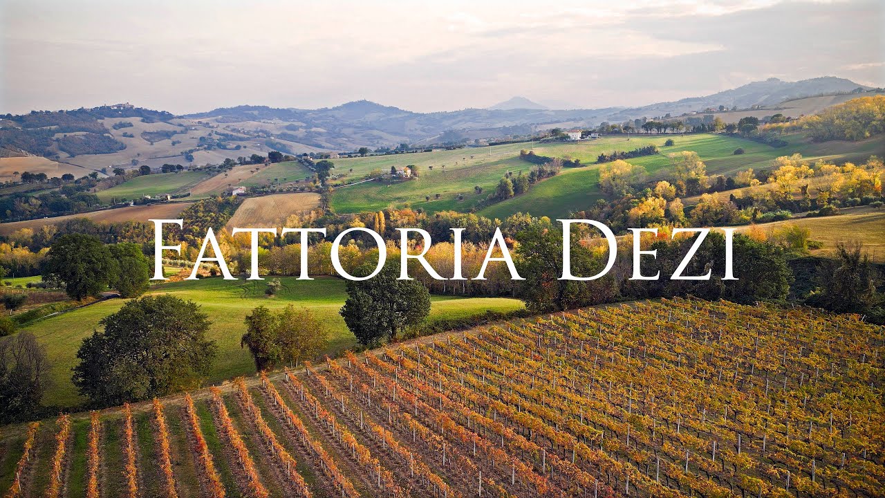 Fattoria Dezi - Servigliano Marche Italy