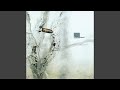 Recoil - Liquid