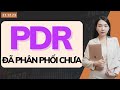 Pdr   phn phi cha 