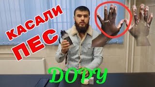 БАРОИ ОДАМОИ ПЕС