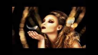 راغب علامة انا حبيتك