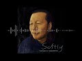 Tatsuro Yamashita  - Softly SIDE D (Vinyl Recording)