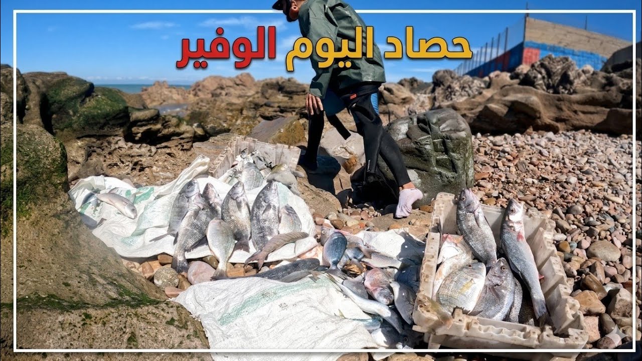 دخلنا البحر قبيح🌊🌊🌊 وكانت الحصيلة 🐟🐟🐟 الحمد لله