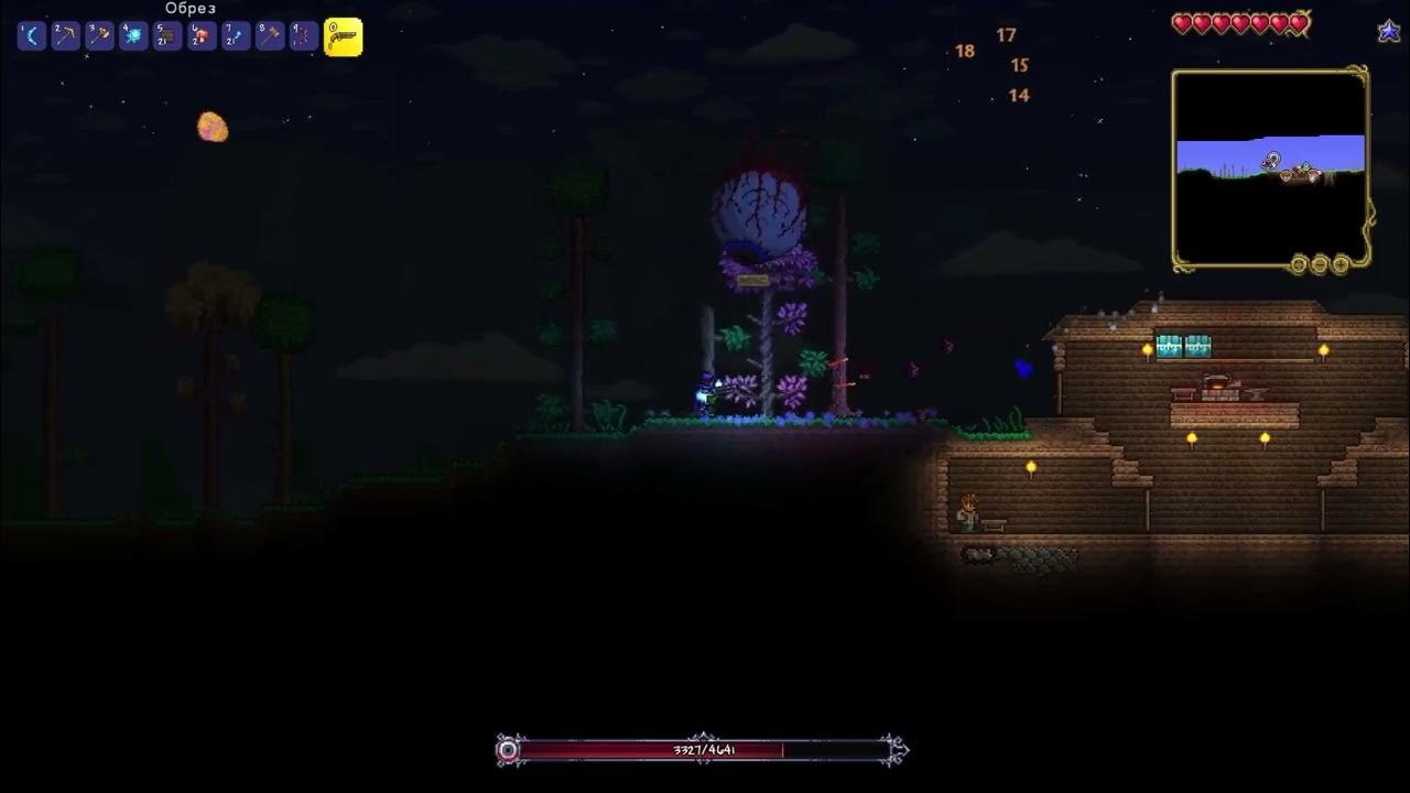 жесткий эдит