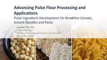 Advancing Pulse Flour Processing and Applications