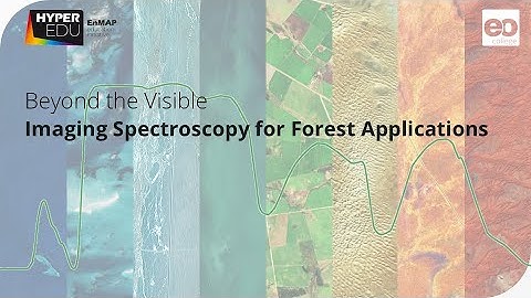 Beyond the Visible - Imaging Spectroscopy for Forest Applications