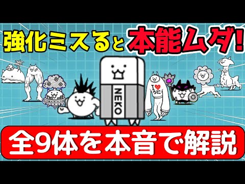 Hironyan University [The Battle Cats] - YouTube