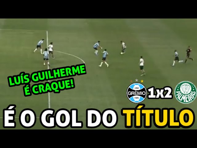 Luis Guilherme decide, Palmeiras vence o Grêmio e conquista o título do  Campeonato Brasileiro Sub-17