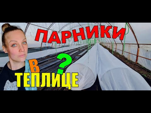 Тоннели / парники для рассады в теплице. Высадка томатов в марте.