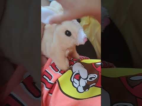 petting bunny 🐰  rabbit 🐇 little girl ❤️