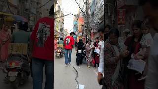 Snake Prank Video😂 (Last Wala ) #funny #comedy #prank #viral #reaction #siwan #prankvideo