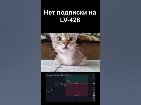 Кот трейдер #коты #юмор #трейдинг #rekt - YouTube