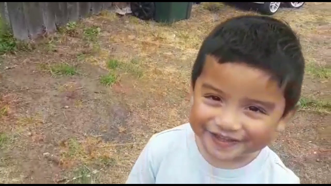 El compa Alfredo Gonzalez Sotelo YouTube