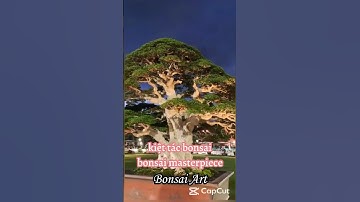 bonsai masterpiece | kiệt tác bonsai #bonsai #caycanh #bonsaiart  #caycanhnghethuat