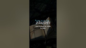و أفوض أمري إلى الله إن الله بصير بالعباد #القرآن_الكريم #راحة_نفسية #quran #مشاري_العفاسي #تلاوات