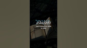 و أفوض أمري إلى الله إن الله بصير بالعباد #القرآن_الكريم #راحة_نفسية #quran #مشاري_العفاسي #تلاوات