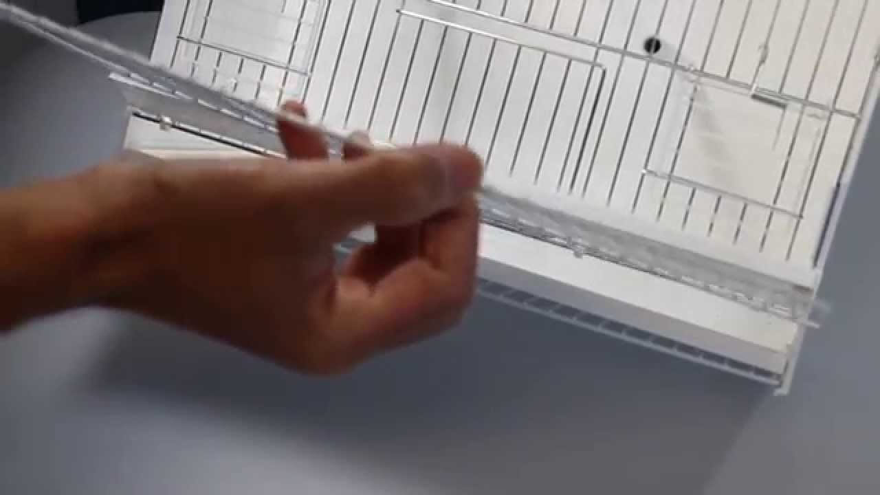 Montaggio gabbia da esposizione