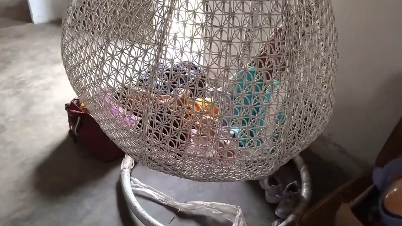 Janjian besok mau berenang