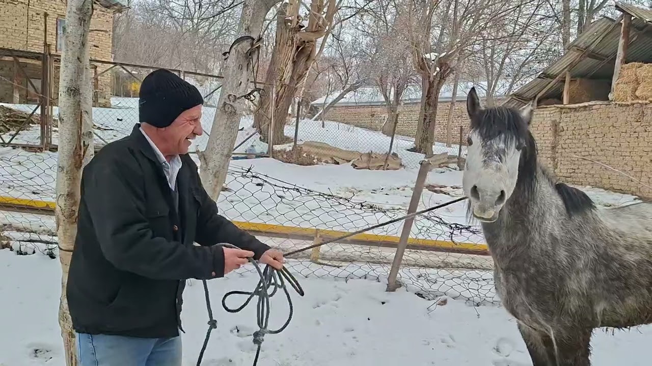 Şövqi atları nallayıb