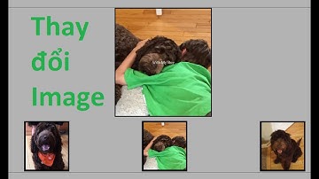 Giải đề thi PE HTML - JAVASCRIPT - Thay đổi background của thẻ DIV với JavaScript