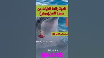 تلاوة جميلة من سورة النمل 🌺 #قران_كريم #آيات #المصحف #اكسبلور #quran @Quran_321