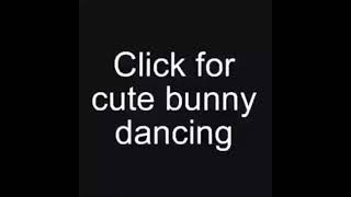 Click For Bunny