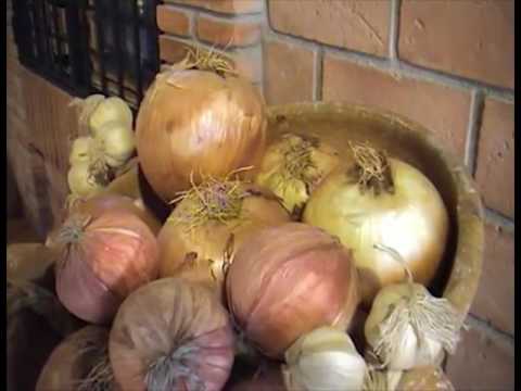 Ранок-панок. Подорож  Іспанією