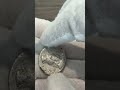 Nero Tetradrachm with Serapis Reverse