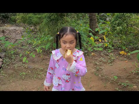 Video Cậu Xí Muội đi tìm chuối chín cây và tuổi thơ dữ dội... - youtube