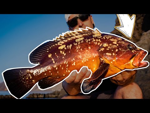 ผลสลากกินแบ่งรัฐบาล วันที่ 1 พย. 2567