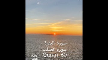 ريان المحيسني (سورة البقرة وفصلت )تلاوة عطرة تطمئن لها القلوب