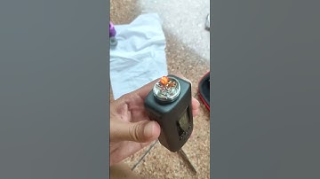 dead rabbit v3 buat single coil